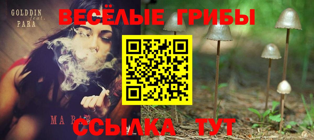 Псилоцибиновые грибы GOLDEN TEACHER  Вход с VPN  Асбест 
